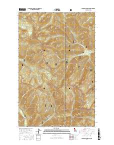 Benning Mountain 2017 topographic map thumbnail