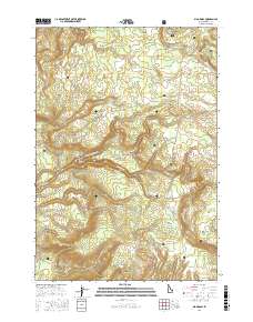 Big Grassy 2017 topographic map thumbnail