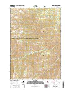 Bismark Mountain 2017 topographic map thumbnail