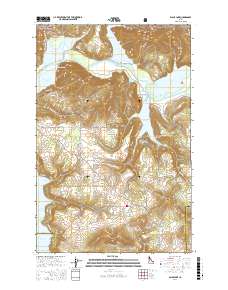 Black Lake 2017 topographic map thumbnail