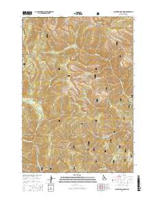 Blackbird Mountain 2017 topographic map thumbnail