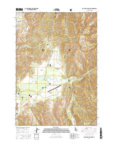 Blue Bunch Mountain 2017 topographic map thumbnail