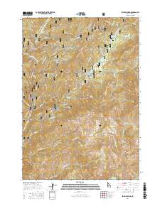 Boiling Springs 2017 topographic map thumbnail