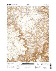 Brace Flat 2017 topographic map thumbnail