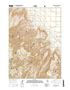 Buckhorn Canyon 2017 topographic map thumbnail