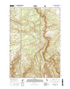 Buffalo Lake 2017 topographic map thumbnail