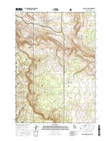Buffalo Lake NE 2017 topographic map thumbnail