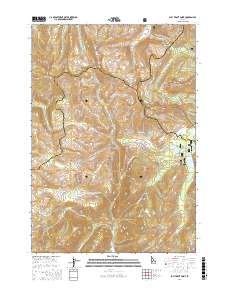 Bull Trout Point 2017 topographic map thumbnail