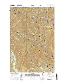 Bumblebee Peak 2017 topographic map thumbnail