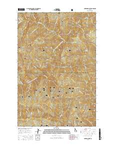 Buzzard Roost 2017 topographic map thumbnail