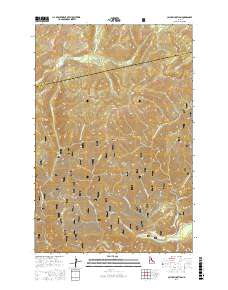 Cayuse Junction 2017 topographic map thumbnail