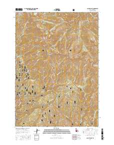 Cayuse Point 2017 topographic map thumbnail