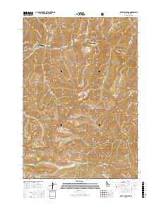 Dave Lewis Peak 2017 topographic map thumbnail