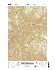 Dennis Mountain 2017 topographic map thumbnail