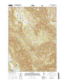 Diamond Flat 2017 topographic map thumbnail