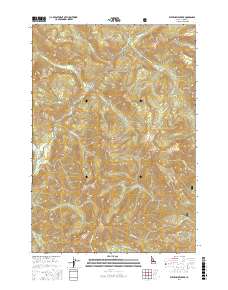 Elevenmile Creek 2017 topographic map thumbnail