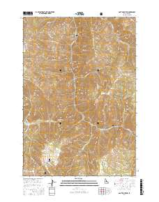 Gant Mountain 2017 topographic map thumbnail