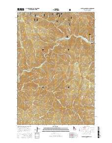 Junction Mountain 2017 topographic map thumbnail