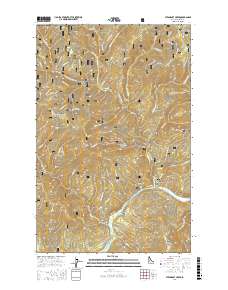 Steamboat Creek 2017 topographic map thumbnail