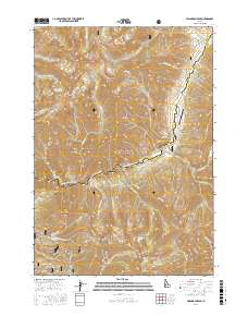Swanholm Peak 2017 topographic map thumbnail