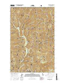 Taylor Peak 2017 topographic map thumbnail