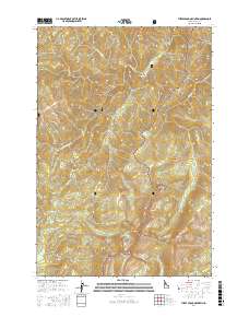 Three Prong Mountain 2017 topographic map thumbnail
