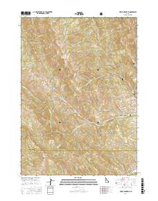 Tincup Mountain 2017 topographic map thumbnail