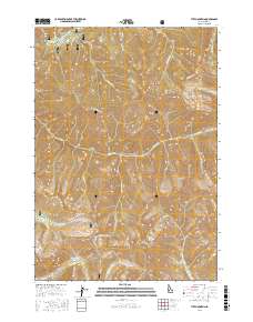Tyee Mountain 2017 topographic map thumbnail