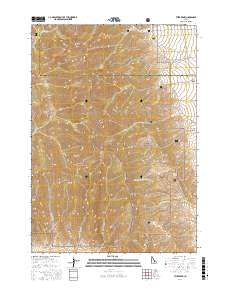 Tyler Peak 2017 topographic map thumbnail