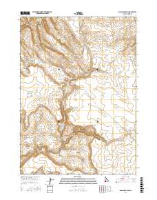 Wagon Box Basin 2017 topographic map thumbnail