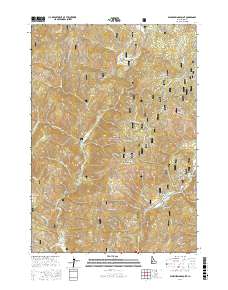 Warm Springs Point 2017 topographic map thumbnail