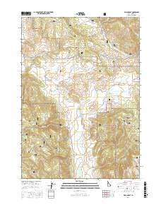 Wayan East 2017 topographic map thumbnail