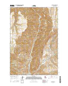 White Bird 2017 topographic map thumbnail