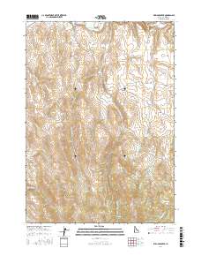 Williams Creek 2017 topographic map thumbnail