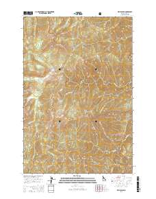 Wylies Peak 2017 topographic map thumbnail