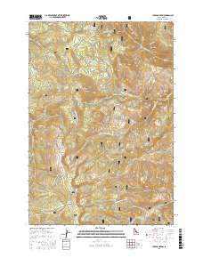 Lake Mountain 2017 topographic map thumbnail