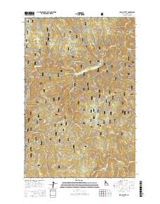 Larch Butte 2017 topographic map thumbnail