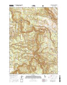 Latham Spring 2017 topographic map thumbnail