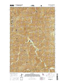 Lean-to Point 2017 topographic map thumbnail
