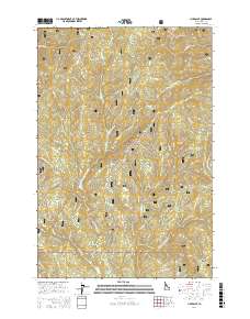 Lick Point 2017 topographic map thumbnail