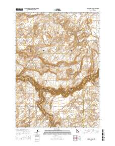 Linderman Dam 2017 topographic map thumbnail