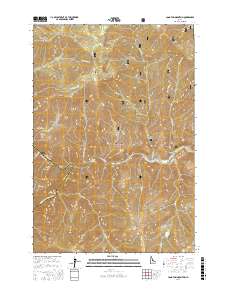 Long Tom Mountain 2017 topographic map thumbnail