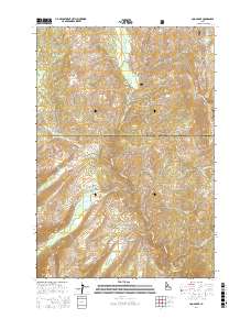 Loon Lake 2017 topographic map thumbnail