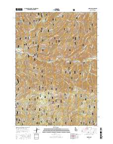 Lowman 2017 topographic map thumbnail