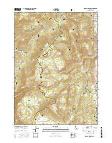 Midnight Mountain 2017 topographic map thumbnail