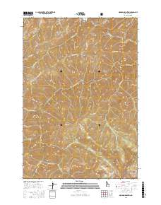 Mormon Mountain 2017 topographic map thumbnail