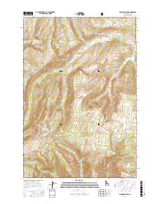 Mosquito Peak 2017 topographic map thumbnail