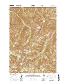 Mount McGuire 2017 topographic map thumbnail
