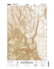 Packsaddle Lake 2017 topographic map thumbnail