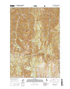 Patrick Butte 2017 topographic map thumbnail